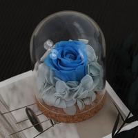 Nouvelles Roses Éternelles 2026 au Toucher Réel sous Cloche en Verre – Longue Durée (3-5 Ans) – Idéales pour la Fête des Mères, Noël, Thanksgiving
