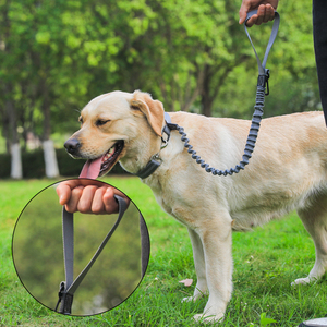 Fabricante al por mayor de nylon extensible para mascotas perro cinturón de seguridad de coche - Product Image 2