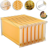 Colmenas de flujo automático para abejas, dispositivo de flujo de miel automático para colmenas, juego completo de herramientas nuevas para apicultura