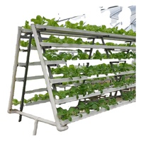 Système hydroponique Nft Pvc Gouttières Plantation de légumes et graines de fraises