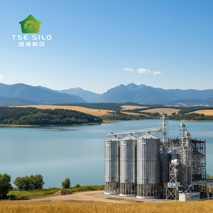 Silo de stockage de céréales (blé, paddy, graines de tournesol) pour projet clé en main - Product Image 1