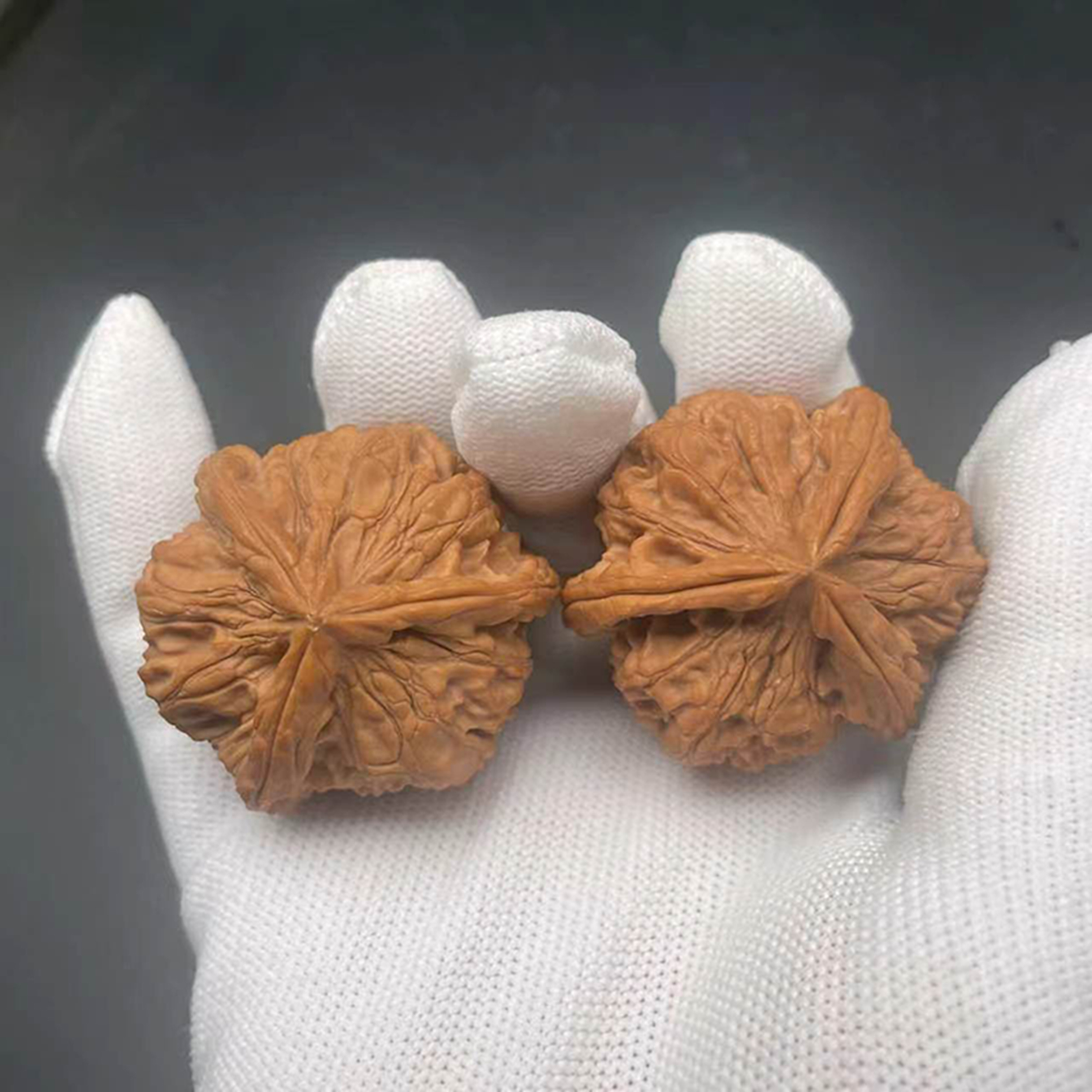 Wholesale Valuable Collectibles Desk Decor Niche Oriental Wisdom Traditional Culture Chinese Herbs Raw Natural Wild Oval Shape