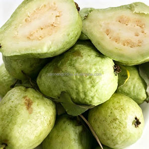 Presse hydraulique automatique robuste à froid pour jus d'ananas, miel, noix de coco, grenade et autres fruits – En promotion - Product Image 2