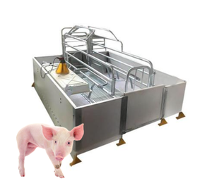 BIG CHINA Lit d'élevage de porcs avec cages d'animaux pour une <span class=keywords><strong>grossesse</strong></span> et une alimentation efficaces des porcs - Product Image 1