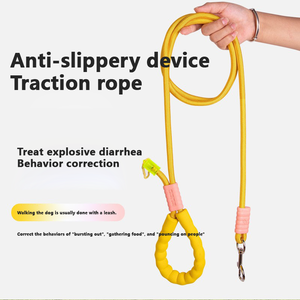 Laisse pour chien, corde <span class=keywords><strong>de</strong></span> traction pour animaux <span class=keywords><strong>de</strong></span> compagnie, laisse d'entraînement pour chien, laisse <span class=keywords><strong>de</strong></span> promenade pour chiens <span class=keywords><strong>de</strong></span> taille moyenne et grande, corde personnalisée avec logo - Product Image 1
