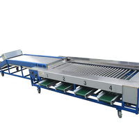 Rollersorteertafel Voor Tomatenaardappel En Kersen Sorteren Roterende Appeltransportsysteem Afscherming Bosbessentransportband