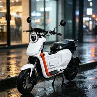 Moto électrique U2 1000W 60V la plus vendue, cadre robuste et poignée arrière pour passager
