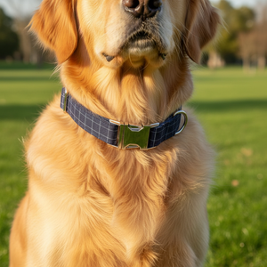 Ayarlanabilir kayış ile fabrika toptan kişiselleştirilmiş tüvit köpek tasması özel gravür logosu şık Pet yaka - Product Image 2