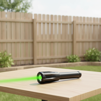Vente du fabricant, lampe torche laser anti-oiseaux à large portée, étanche, pour usage commercial