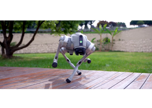 En Stock, Listo para Enviar: Robot Unitree Go2 Pro Air de 4 Patas, Robot Perro Inteligente, Entrega Rápida - Product Image 5