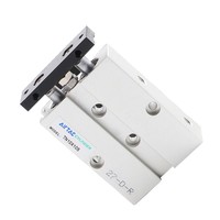 AirTAC Série TN TN10 Vérin pneumatique à double arbre et double tige TN10X10S TN10X20S TN10X30S TN10X50S TN10X40S TN10X100S