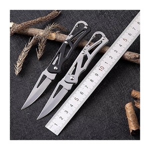 Bán Hàng Nóng Tùy Chỉnh Mini Thép Không Gỉ Xách Tay Cắm Trại Gấp Chiến Thuật Survival Dao Gấp Lưỡi Dao Bỏ Túi Trái Cây Dao - Product Image 1