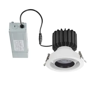 Shen Zhen Dayton Commercial Lighting Dimmable Round Shaping Aluminium Narrow Beam Angle LED Downlight