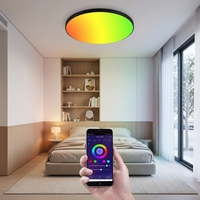 Plafonnier LED intelligent Tuya pour salon moderne, RGB CCT, gradation fluide, sans scintillement, sans bruit, OEM/ODM