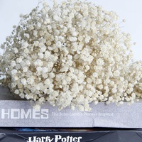 Buket bunga asli berkualitas tinggi Model E-GF merek FLEUR Gypsophila yang diawetkan napas bayi indah warna-warni pernikahan berkualitas A