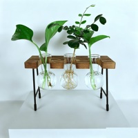 Vase en verre hydroponique minimaliste pour table avec support en bois, vase en verre créatif avec base en bois