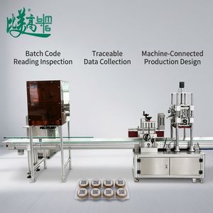 Agregador Automático de Datos de Códigos QR para Cartones a Granel |   Sistema de Detección Multicódigo Sincrónico por Visión para Línea de Empaquetado con Cinta Transportadora - Product Image 5