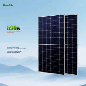 Módulo Solar Rene PV IP68 en Stock, 585W, Doble Cristal, Tipo N, Paneles Solares de Corte Medio - Product Image 1