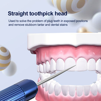 Cure-dents écologiques en acier inoxydable pour soins dentaires, avec têtes courbes et droites, emballage en boîte colorée pour restaurants
