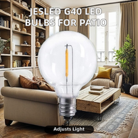 Ampoules LED de remplacement E12, 1 Watt, Dimmables, Incassables, Alimentées en Courant Alternatif, pour la Décoration de Patio