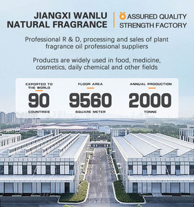 純粋なウコン精油ボディ & フェイスホワイトニング保湿アンチエイジングマッサージ用バルク卸売 - Product Image 5