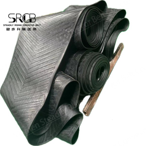 Fabrikada kömür için yüksek kaliteli EP1200/5 ısıya dayanıklı kauçuk konveyör kemerleri-endüstriyel konveyör bant makineleri için Ideal - Product Image 5