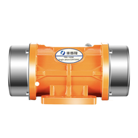 60W 1-Phasen-Industrie-Vibratormotor 110V/220V Bürstenloser Exzenter IP66 DC 12V 24V Kleiner wasserdichter Beton vibrator