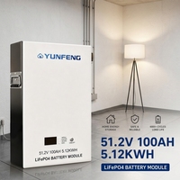 Batterie solaire murale LiFePO4 51,2 V 100 Ah 5 kWh 10 kWh avec communication CAN pour appareils électroménagers, installation facile, vente en gros