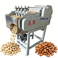 Ligne de décorticage de noix de cajou haute capacité 500 kg/h avec convoyeur à alimentation automatique