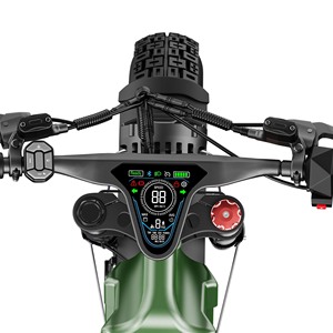 Bicicleta Eléctrica de Montaña Romeo R60C 60v 70ah con Doble Motor y Neumáticos Anchos para Adultos // - Product Image 5
