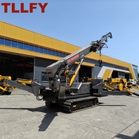 Grue araignée mobile hydraulique à moteur diesel 10 tonnes, mini, hauteur de levage 20 m, double moteur