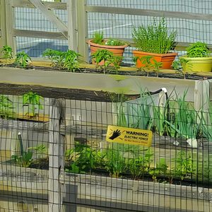 Panneau d'avertissement de clôture électrique personnalisable personnel Matériau plastique utilisé pour la sécurité du bétail de jardin Cadre en bois - Product Image 6
