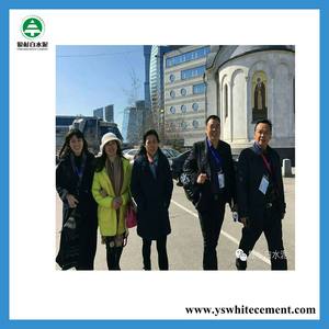 Preço barato CSA Expansivo Cimento Agente - Product Image 2