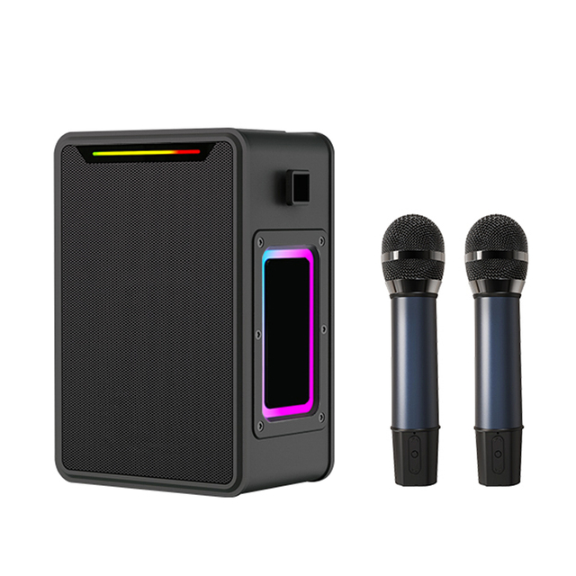 60W Portable Karaoke Speaker with Dual Wireless Microphones Bluetooth Deep Bass Subwoofer RGB LED Party Speaker for Outdoor
