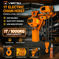 Capteurs de contrôle à plusieurs vitesses et anti-collision 1T pour un voyage aérien sûr-Type de course à pied Ghost Head Electric Hoist