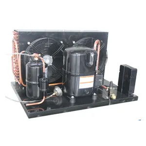 R404a TAG2522Z unità di condensazione per cella frigorifera con congelatore a compressore Tecumseh 5HP raffreddate ad aria