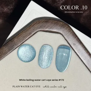 New High-quality 10 Color 5ml Light Color Cat's Eye <b>Gel</b> <b>Nail</b> Polish Durable <b>Gel</b> Varnish <b>Set</b> Non-toxic <b>Nail</b> Care Products - Product Image 6