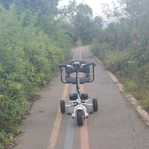 Scooter Eléctrico <span class=keywords><strong>de</strong></span> Tres Ruedas Plegable Fácil <span class=keywords><strong>de</strong></span> Usar con Certificación CE Rohs, Batería Extraíble <span class=keywords><strong>de</strong></span> 500w, 3 Velocidades, YXEB-718 - Product Image 4