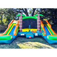 Château gonflable de location pour fêtes, en PVC, motif dessin animé, avec toboggan, pour extérieur ou intérieur