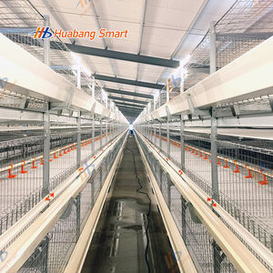 Alimentation et arrosage automatiques Cage pour poulets de chair Poulailler à usage commercial - Product Image 1