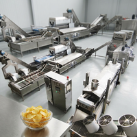 Productielijn voor aardappelchips met energie-terugwinningssysteem voor verlaagde bedrijfskosten, duurzame oplossing voor een snackfabriek