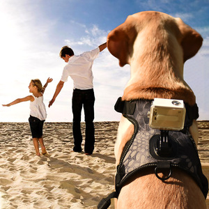 SinSky, recién llegado, accesorios para mascotas, respetuoso con el medio ambiente, correa para cámara deportiva para perros, estabilizador de cámara Go <span class=keywords><strong>Pro</strong></span>, arnés para perros - Product Image 6