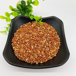 Nouvelle récolte de maïs à balai rouge chinois <span class=keywords><strong>Millet</strong></span> Prix bon marché pour graines pour <span class=keywords><strong>oiseaux</strong></span> - Product Image 5