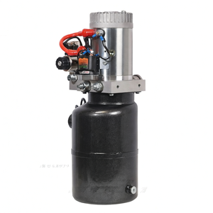 Unidades de Potencia Hidráulica Personalizadas 220V 24V 48V 12V para Elevadores de Coches, Remolques Basculantes, Unidades Manuales y Paquetes de Potencia Neumático-Hidráulicos - Product Image 4