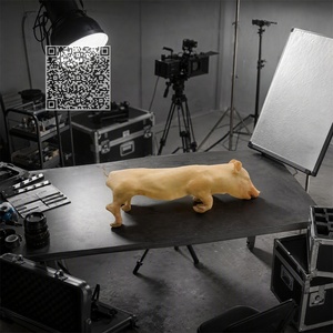 Réplica de Cerdo Lechón Falso Realista de Tamaño Natural para Decoración de Escenarios de Cine, Televisión, Exposiciones, Ferias Comerciales y Estudios Fotográficos - Product Image 5
