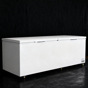 Trung Quốc sản xuất công suất lớn ngang Tủ đông tủ trưng bày thương mại - Product Image 2