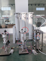 Ligne de remplissage automatique d'aérosols de parfum Spray corporel Machine de production de vernis à poivre à sertir pour l'Egypte et l'Inde