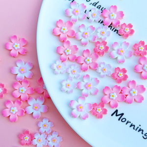 Phụ kiện làm hoa tự làm, đồ trang sức nhựa, ốp điện thoại, miếng dán bảo vệ sạc tủ lạnh, miếng dán trang trí, kẹp tóc - Product Image 2