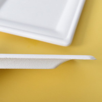 Échantillon gratuit Assiette de vaisselle écologique pour enfants Assiettes en papier arc-en-ciel pour réception de mariage et fêtes
