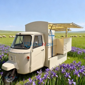Carrito de Comida Eléctrico de 4 Ruedas para Exteriores, Equipo de Barbacoa de Acero Inoxidable para Venta Ambulante, Camión de Snacks, Pizza, Hot Dogs, Certificado CE - Product Image 3